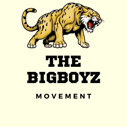 THE BIGBOYZ MOVEMENT